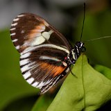 DSC 2052