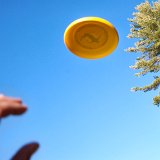 DSC 0083