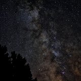 DSC 4275