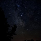 DSC 4280