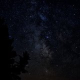 DSC 4295