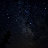 DSC 4305