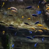 DSC 0046