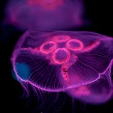 DSC 0120