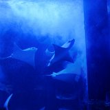 DSC 3509