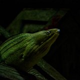 DSC 3553