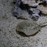 DSC 3768