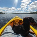 Trevor loves to come kayaking with me.