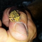20150813 153012