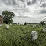 DSC 9571