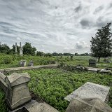 DSC 9631