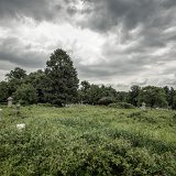 DSC 9831