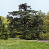 DSC 0023