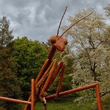 DSC 0104