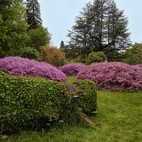 DSC 0151