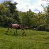 DSC 0302