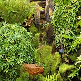 DSC 0359