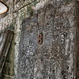 DSC 0908