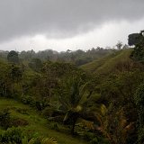 DSC 0088 1