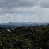 DSC 0150
