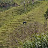 DSC 0178