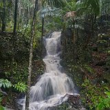 DSC 0281