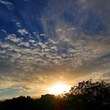 DSC 0345
