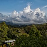 DSC 0554