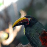DSC 0002