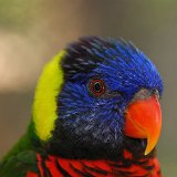 DSC 0042