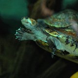 DSC 0369