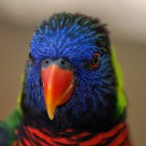 DSC 0504