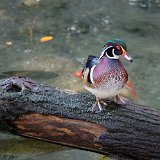 DSC 0188