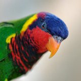 DSC 0201