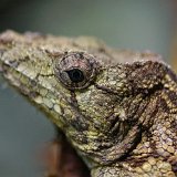 DSC 0290