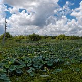 DSC 0041 - DSC 0048