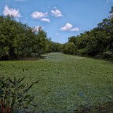 DSC 0137