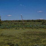 DSC 0467