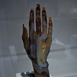 DSC 0520