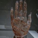 DSC 0521