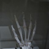 DSC 0522