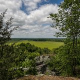 DSC 8542