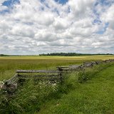 DSC 8597