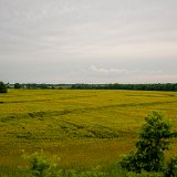 DSC 8656