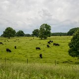 DSC 8662