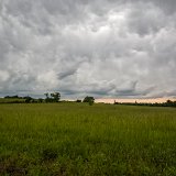 DSC 8676