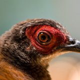 DSC 9059