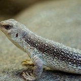DSC 9139