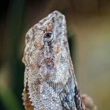 DSC 9148