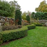 DSC 5240
